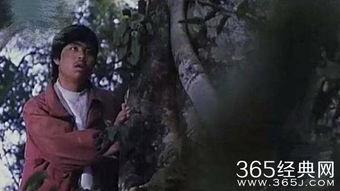 国产怪手电影在线观看,挖掘奇观，探索未知世界