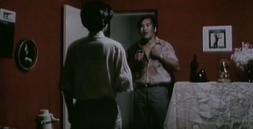 国产成人影片在线免得看,揭秘国产成人影片免费观看背后的真相与风险