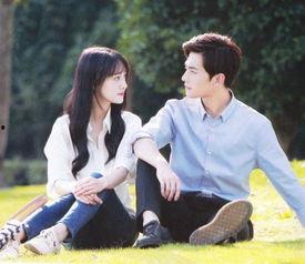 爱情甜美剧国产在线观看,国产爱情剧在线观看指南